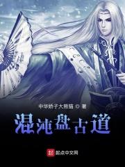 混沌盘古道TxT
