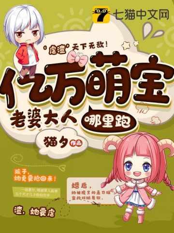 书名一胎七宝老婆大人哪里跑