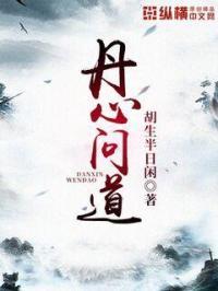 问丹心在线阅读