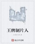 王牌制作人有声