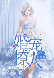 宠婚老公太粘人免费阅读