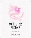 你男主是谁