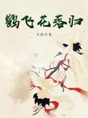 鹤飞是什么意思