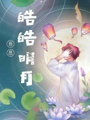 皓皓明月无暇朗朗淳风清飒出处