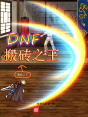 dnf搬砖wg