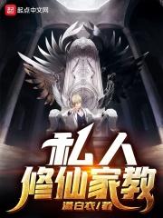 私人家教进阶课程中文字幕