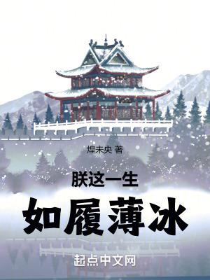 朕这一生如履薄冰全文阅读