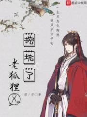 老狐狸小狐狸动画片