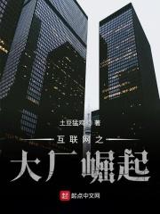 互联网新大厂