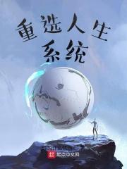 人生选择系统