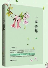 一念情起终结篇全集