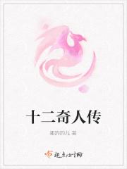 十二奇案结局