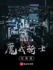 魔戒骑士的奇妙之旅