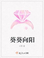 向阳葵 晋江