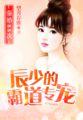 辰少的隐婚甜妻txt