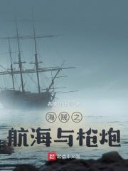 海贼之港重型机枪dp