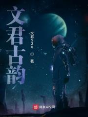 文君阁精品民宿