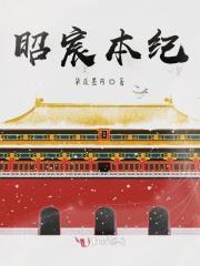 昭辰的寓意