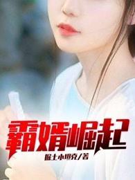 霸婿崛起几个女主角