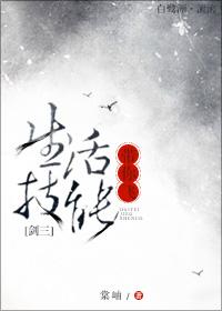 剑三招式