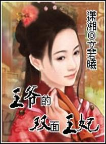 医婿当道txt