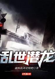 乱世潜龙17
