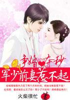 军少前妻携子归来