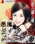 恶魔总裁虐娇妻