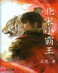 小霸王的意思