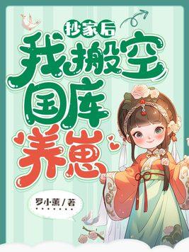 洛倾墨安婉清
