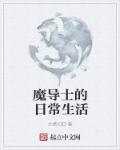 魔导士等级