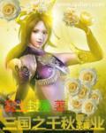 三国之霸系统