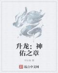 神佑之森阵容