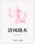 晓风清露的书