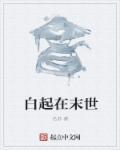 主角白起后人