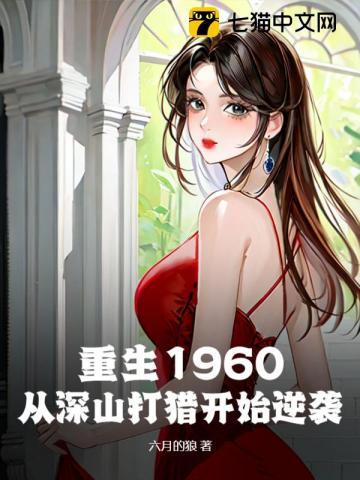 重生1960之