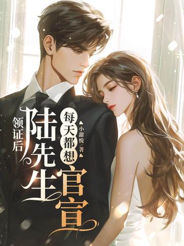 结婚后陆先生整天粘着我免费