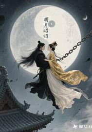 明月昭华是什么意思