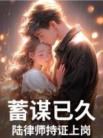 陆律师资料