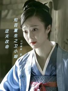穿越知否之卫小娘子