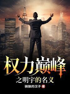 权力巅峰之明宇的名义前传王鸿涛