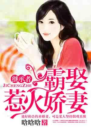 继承者