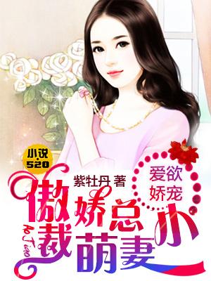 傲娇总裁爱妻你别跑2