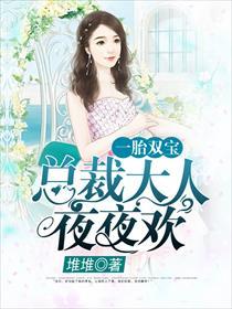 一胎双宝总裁大人请温柔全文免费