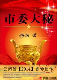 市委大秘免费阅读