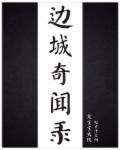 边城实录