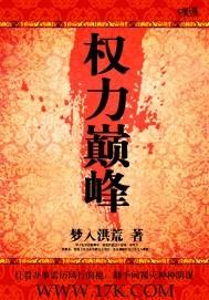 权力巅峰在线阅读