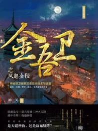 金吾卫之风起金陵图片