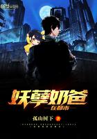 妖孽奶爸在都市123