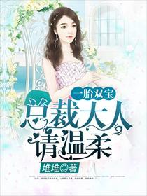 一胎双宝总裁大人请温柔TXT 笔趣阁